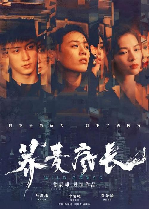 密歇根州立大学硕士证书